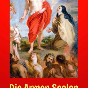 Die Armen Seelen - P. Martin Berlioux